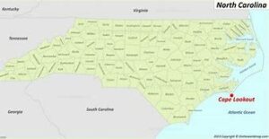 OIP 2025 05 03T005615.233