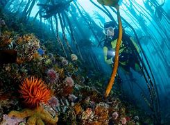 OIP 2025 05 03T005916.981