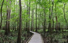 OIP 2025 05 04T015303.848