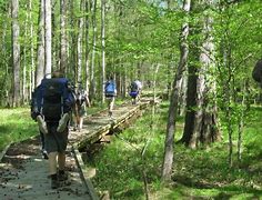 OIP 2025 05 13T115515.354