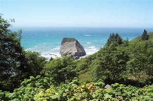 Plants and trees near the ocean with a large boulder in the water.