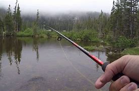 Persoin with fishing pole fishing at a lake with green vegetation in the background with fog.