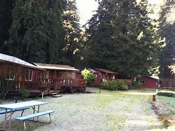 Cabins in the woods with a picnic table with trees.