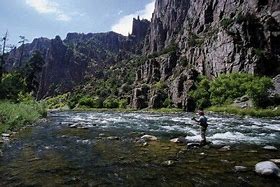 person fishing in a canyon with steep walls and a flowing stream with green shrubs.