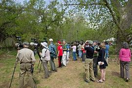 Several people with cameras and binoculars bird watching birdwatching in the forest on a partly cloudy day.
