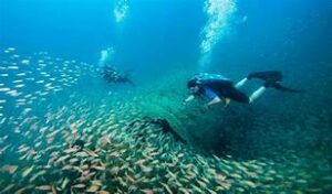 OIP 2025 05 21T003153.437