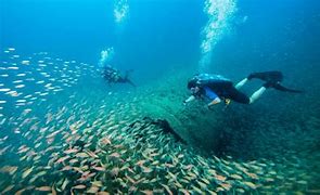 OIP 2025 05 21T105105.185