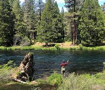 OIP 2025 05 23T124320.834