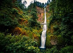 OIP 2025 05 23T124649.222