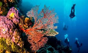 OIP 2025 05 24T090613.492