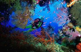 OIP 2025 05 24T090722.755