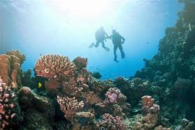 OIP 2025 05 24T090838.506