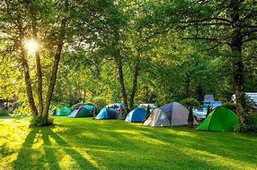 camping tents in the woods with people