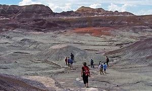 People wearing backpacks hiking through a canyon that's hilly with large walls and mountains in the background.