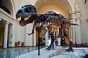 Dinasour being displayed at a museum at Yellowstone National Park.
