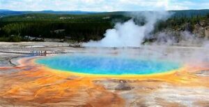 A blue water geyser with outer brown ring with steam rising and a forest in the background.
