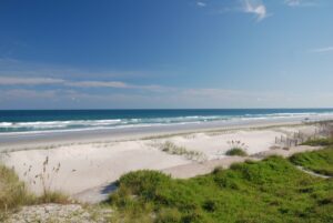 Figure Eight Island Beach, NC, Camping & Hiking Tours 2 Green grass overlooking a sandy beach with gentle ocean waves under natural daylight.