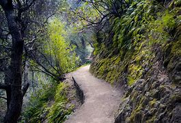 Path in the mountains with trees and a steep wall on a hill.
