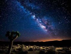 stars in the sky at a canyon with a palm tree and flat lands