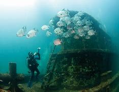 Cedar Island Beach NC, Camping & Hiking Tours 3 Person scuba diving with fish and a shipwreck at the bottom of the ocean.