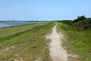 A sandy path running along the shoreline at Pea Island National Wildlife Refuge.