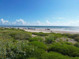 Isle of Palms, South Carolina: Beach Camping Getaways, Coastal Adventures & Scenic Escapes 3 Wide sandy ocean beach bordered by lush green coastal dunes, wildflowers, and low vegetation, with vehicles parked along the shoreline beneath a bright blue sky with scattered white clouds.