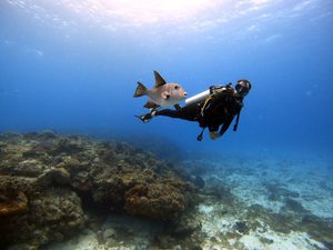 Corolla Beach, NC, Camping And Hiking Tours 3 Scuba diver swimming above a colorful rocky coral reef in clear blue tropical waters, with two fish nearby and sunlight filtering through the ocean.