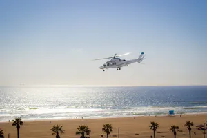 Helicopter flying above a sunny ocean beach with waves, palm trees, and a wide sandy shoreline below.