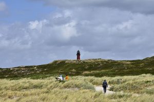 Lighthouse Inlet Beach, SC, Camping and Hiking Tours 4 Scenic coastal dunes covered in tall beach grass, with visitors walking along sandy trails toward a distant red lighthouse beneath a cloudy sky.