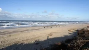 Figure Eight Island Beach, NC, Camping & Hiking Tours 1 Wide sandy beach with rolling Atlantic Ocean waves, blue sky, scattered clouds, and visitors walking along the shoreline.