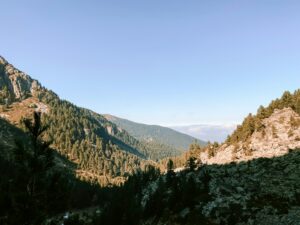 Canyon with trees and steep hills on a partly cloudy day.