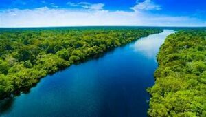 Amazon Rainforest and Amazon River