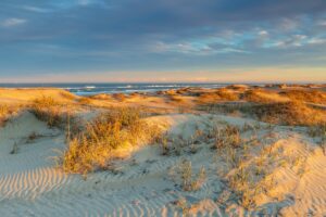 Sandy hilly beach with green vegetation along the shoreline, waves gently rolling in, and ocean in the background.