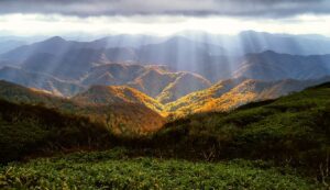 Appalachian mountains and forest.