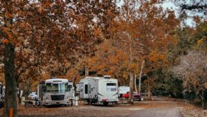campers in the woods with equipment and picnic table