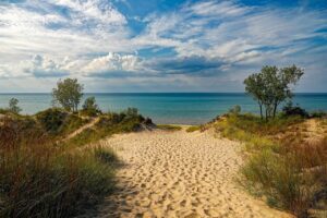 Sandy path leading through coastal vegetation toward a serene beach with the ocean in the background.