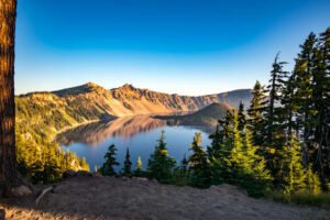 lake with forest surrounding and mountains