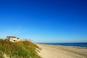 Tall green grass on a sandy beach beside the ocean.