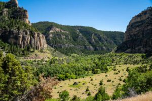 steep mountains and a forest and flatlands