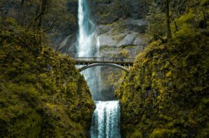 bridge in the woods with waterfalls and trees