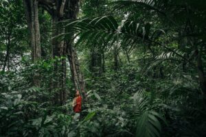 Woman hiking in a rainforest in Australia