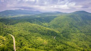 mountains with a forest and road through the woods