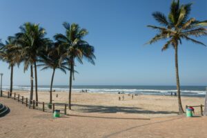 people on a beach next to the ocean with palm trees