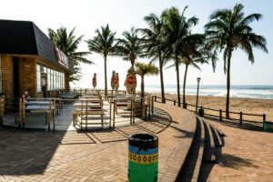 beach with benches to sit on a garbage can palm trees near the ocean