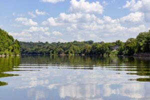 lake with forest