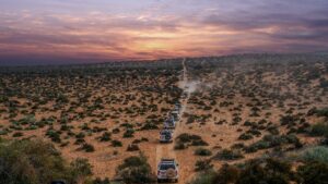 Several jeeps traveling at Australia's Outback flat lands with lots of bushes