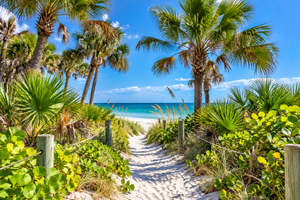 Scenic sandy beach trail winding through tropical palm trees, sea grape plants, and coastal vegetation toward white sand and turquoise Gulf waters beneath a bright blue sky.