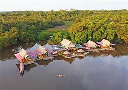 Several glamping hubs on a river near a rainforest.