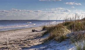 Beach at the ocean with tall grass on a partly cloudy day.