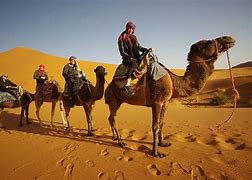 people riding camels in a desert with sand dunes on a blue sky day.